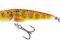 SALMO MINNOW ORANGE TROUT 7cm/8g M7SOTR