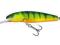 SALMO MINNOW HOT PERCH 7cm/7g M7.SDRHP