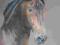 gniady koń konie suchy pastel A. Zin