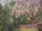 Kwitnące wiśnie-lata 20