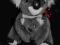MAMA MIS KOALA z dzieckiem AUSTRALIA 19 SLODKI