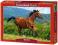 Puzzle 1000 Castorland 102396 Reddish - Brown Hors