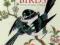 BIRDS (GIFT BOOKS) Mavis Pilbeam