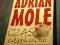 Sue Townsend Adrian Mole, Czas cappuccino