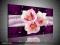 #OD Obraz 120x80 Kwiat Kwiaty Obrazy Fiolet