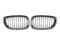 Grill BMW 3 E46 Coupe 03-05 Carbon