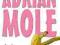Adrian Mole Na manowcach Sue Townsend - NOWA!