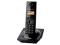 Telefon bezprzewodowy Panasonic KX-TG1711PDB !