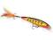 WOBLER RAPALA X-RAP XR6 HMMD WOBLER BYDGOSZCZ