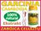 Garcinia Cambogia 30g ODCHUDZANIE&amp; ANTYCELULIT