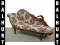 NOWA STYLOWA SOFA / SZEZLONG NOWA STYLOWA SOFA / SZEZLONG