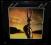 Robert Palmer  Maybe It's Live