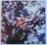 PINK FLOYD obscured by clouds ____________ LP MINT
