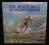 The Beach Boys - 20 Golden Greats