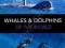 WHALES AND DOLPHINS OF THE WORLD Mark Simmonds