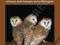 BARN OWL CONSERVATION HANDBOOK Barn Owl Trust