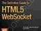 THE DEFINITIVE GUIDE TO HTML5 WEBSOCKET Wang