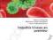 HEPATITIS VIRUSES AN OVERVIEW Zaki, Razek