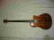 Fender Victor Bailey Acoustic/Electric Bass