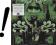 BENNY SOEBARDJA - NIGHT TRAIN - 2xLP - PSYCH