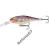 Wobler Rapala Shad Rap 7cm PD