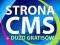 STRONA WWW / CMS / REKLAMA / HOST / DOMENA / FV G