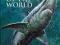 SHARKS OF THE WORLD (FIELD GUIDE) Compagno, Dando