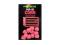 Korda - Pop Up Corn Fruity Squid Pink 12szt