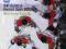 IIHF 2013 GUIDE AND RECORD BOOK