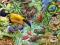 Puzzle Heye 1000el.W dżungli