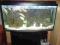 Sprzedam akwarium z pełnym wyposażeniem