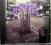 SPIN DOCTORS pocket full of kryptonite Sony M 1991