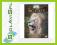 BIG CATS: White Lions: King of Kings [DVD]