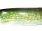 Rapala Minnow Spoon RMS07 PK 7cm 15g, antyzaczep