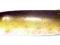 Rapala Minnow Spoon RMS07 W 7cm 15g, antyzaczep