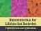 NANOMATERIALS FOR LITHIUM-ION BATTERIES Yazami