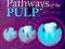 COHEN'S PATHWAYS OF THE PULP EXPERT CONSULT