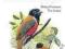 BIRDS OF SOUTHERN INDIA (FIELD GUIDE) Grimmett