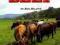 SALAD BAR BEEF Joel Salatin