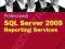 PROFESSIONAL SQL SERVER 2005 REPORTING SERVICES