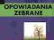 OPOWIADANIA ZEBRANE TOM I - II CORTAZAR - NOWE!