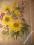 SŁONECZNIKI  AKWARELA