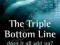 THE TRIPLE BOTTOM LINE Henriques, Richardson