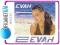 EVAH - EVAH CD