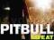 PITBULL: PITBULL: LIVE AT ROCK IN RIO [DVD]