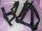 halter kantar obroża uzdowa + szelki 25mm 50/80cm