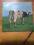 Pink Floyd  Atom Heart Mother