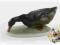 Rosenthal figurka Kaczka ok.1930r K.Himmelstoss sy