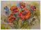 Maki    Pejzaż Kwiaty