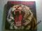 TYGERS OF PAN TANG - WILD CAT - NWOBHM